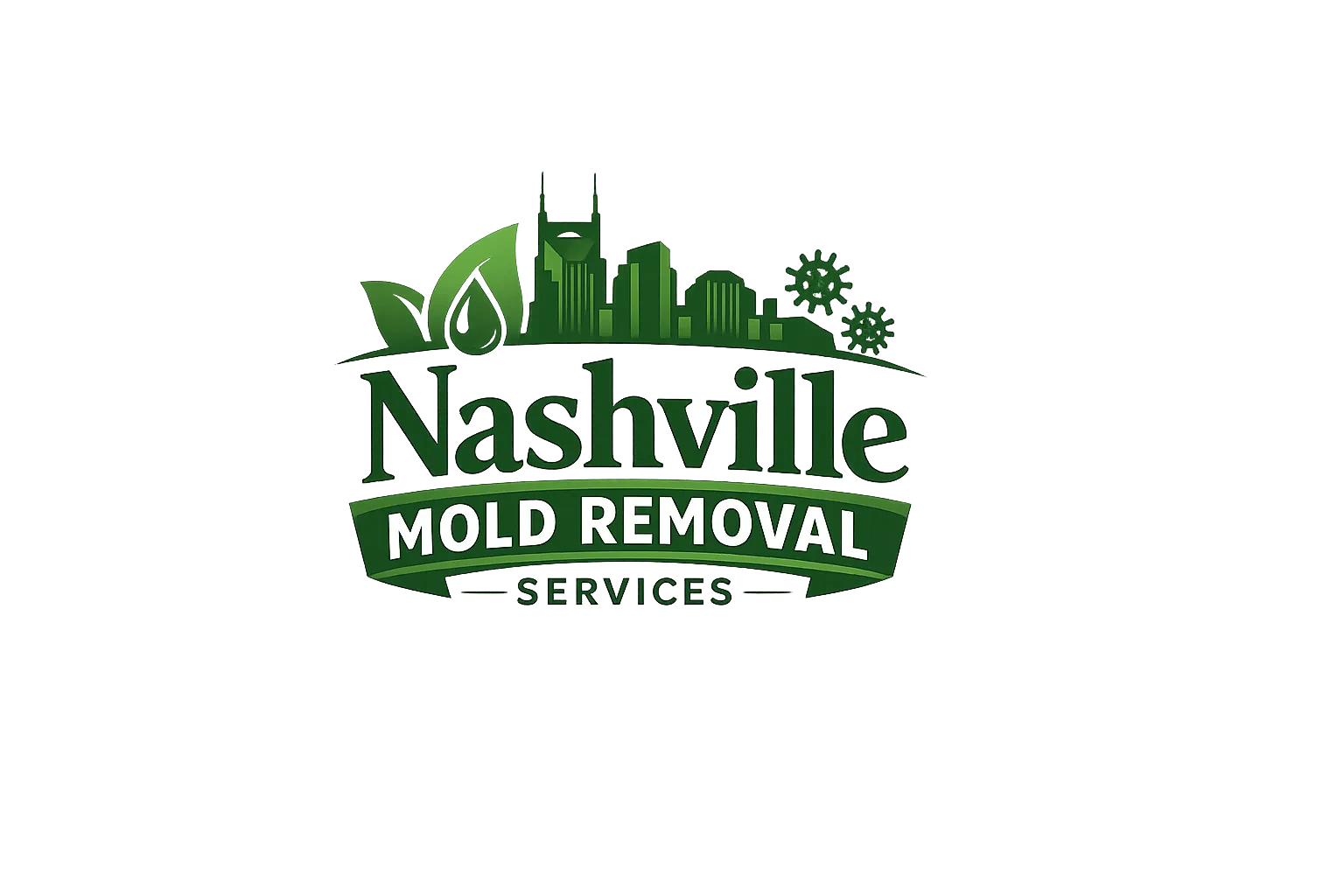 Nashville Mold Removal Services